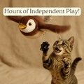 Cat playing with motion-activated flapping bird toy