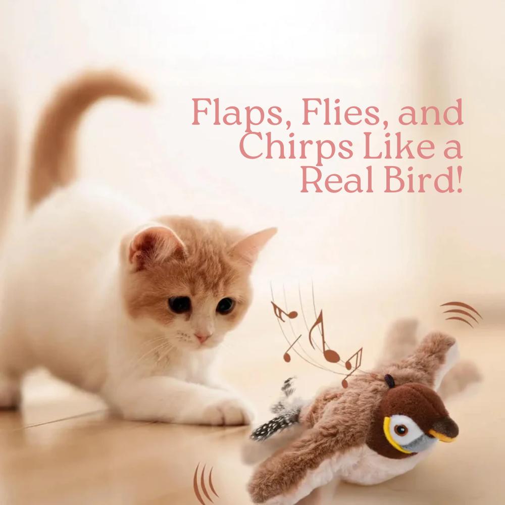 Flapping bird toy chirping beside a cat