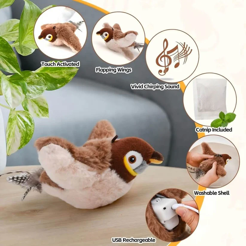 Feature overview of motion-activated flapping bird cat toy